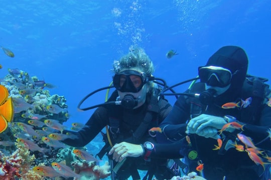 Phục hồi và phát triển rạn san hô tại Cuba