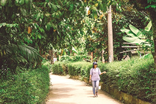 Định hình công nghiệp văn hóa xứ Quảng