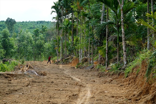 Hiến đất mở đường ở Tiên Ngọc