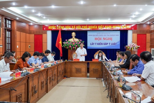 Đoàn Đại biểu Quốc hội tỉnh lấy ý kiến góp ý dự thảo Luật Phòng, chống bạo lực gia đình (sửa đổi)