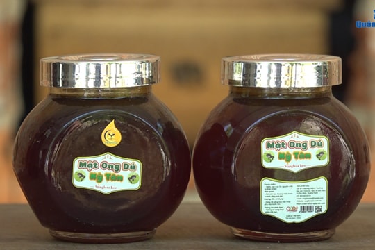 [VIDEO] - Mật ong dú Kỳ Tân vào OCOP