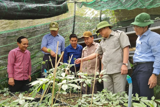 Ủy viên Trung ương Đảng, Bí thư Tỉnh ủy Phan Việt Cường: Nam Trà My cần khơi dậy khát vọng tự lực trong nhân dân
