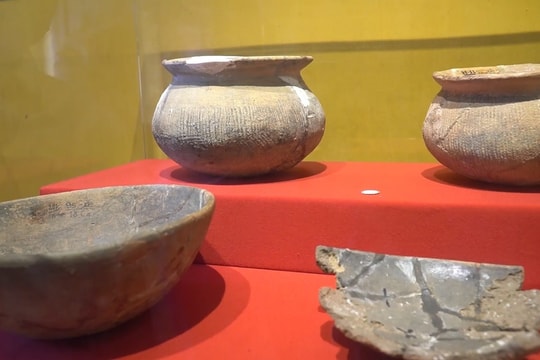 Khai quật khảo cổ di tích Hậu Xá 1 và Hậu Xá 2