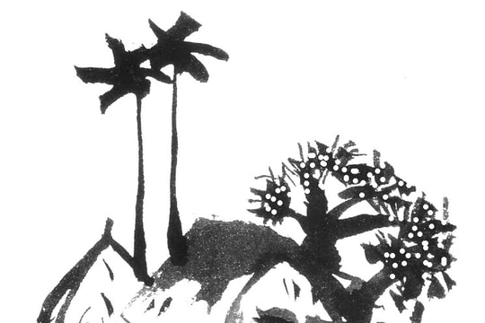 Ước mơ bay cao từ chắc lép mùa màng