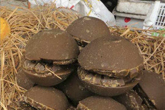 Đường muống, đường tán