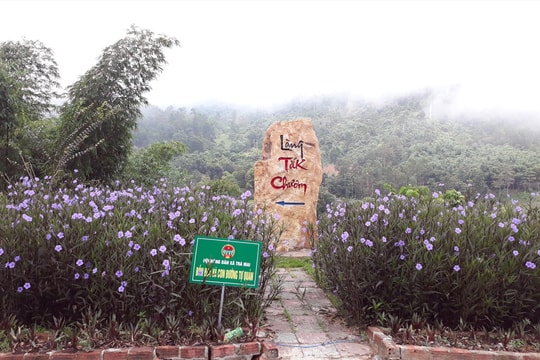 Đưa đá về "phố núi"