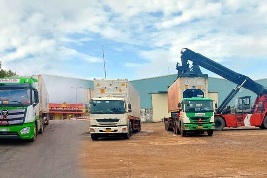6 tháng đầu năm 2022, THILOGI Agri Trans vận chuyển hơn 6.700 container trái cây các loại
