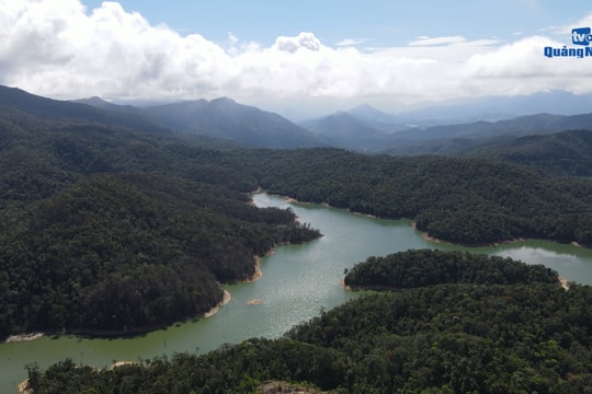 [VIDEO] - Quảng Nam xuất khẩu tín chỉ các-bon rừng