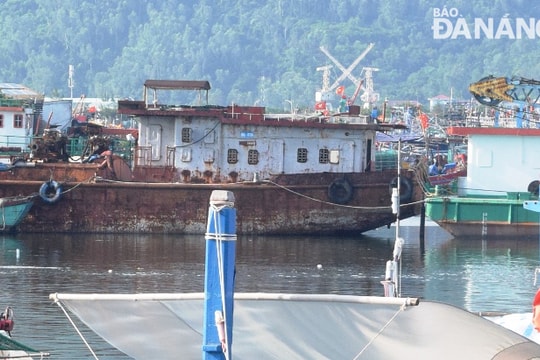 Xử lý các tàu không đủ điều kiện khai thác hải sản đang neo đậu tại âu thuyền Thọ Quang