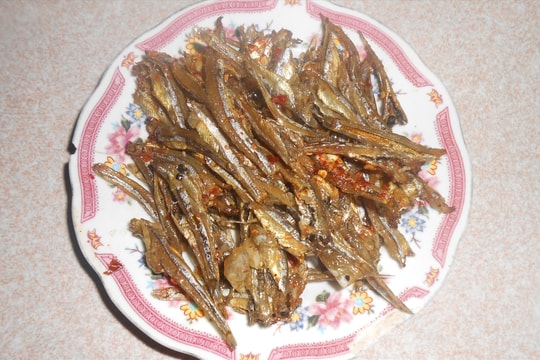 Xao động mùa khô cá cơm