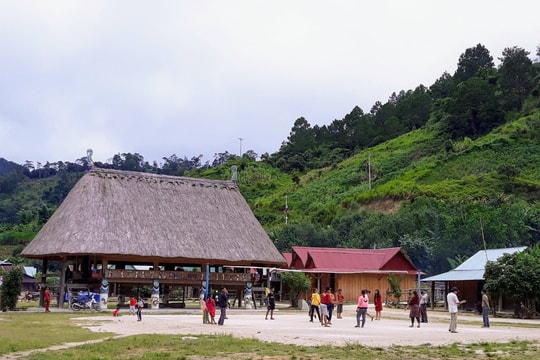 Phê duyệt Đề cương giáo dục địa phương tỉnh Quảng Nam cấp tiểu học