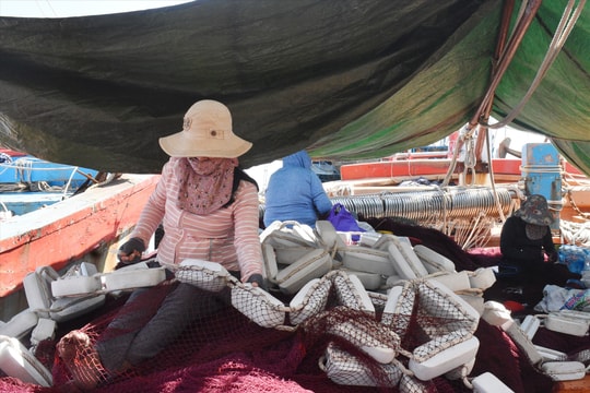 Mưu sinh bằng nghề vá lưới