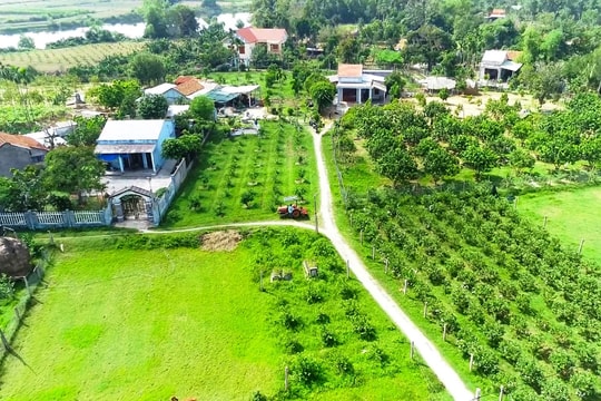 Tam Ngọc phát triển kinh tế vườn gắn với du lịch