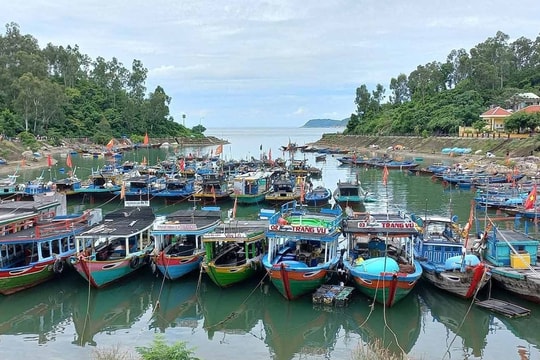 Khu vực ven biển linh hoạt ứng phó bão Noru