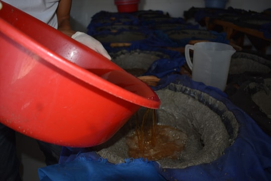 Khởi nghiệp với nước mắm cá cơm