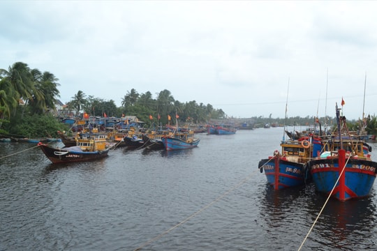 Núi Thành hướng dẫn tàu cá ra xa tầm hoạt động của bão Noru