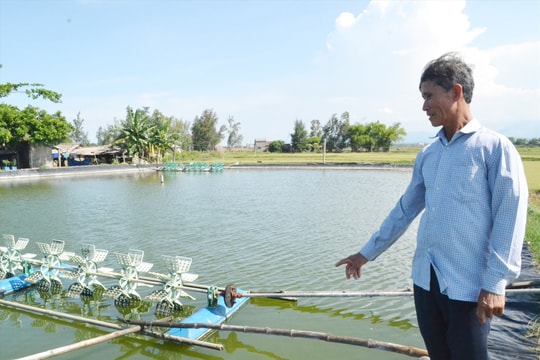 Nuôi tôm nước lợ bền vững: Cải thiện trách nhiệm cộng đồng - Bài cuối: Khuyến khích liên kết đầu tư