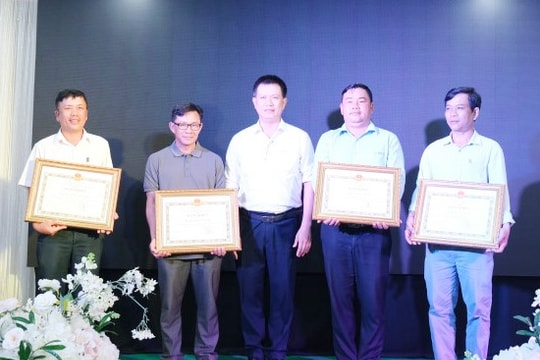 Chủ tịch UBND tỉnh tặng Bằng khen 4 đội xung kích Điện lực các tỉnh Quảng Bình, Đắk Lắk, Gia Lai, Đắk Nông