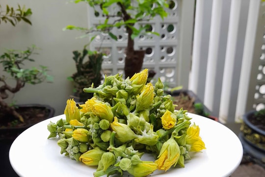 Nỗi nhớ cơm nguội vàng thu