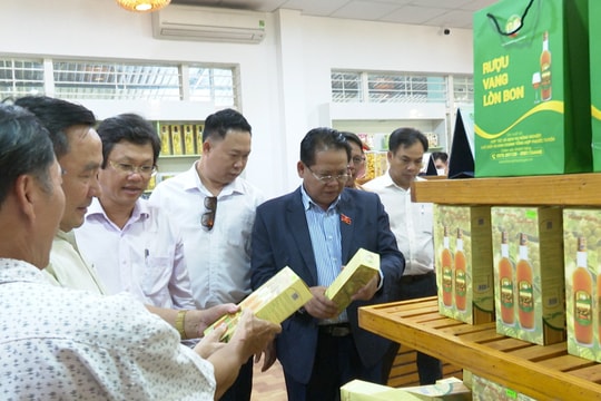 Đoàn đại biểu HĐND tỉnh Sê Kông (Lào) tham quan mô hình kinh tế vườn ở Tiên Phước