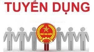 Cục Thuế tỉnh Quảng Nam tuyển dụng 40 công chức