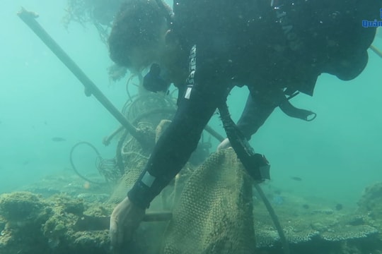 Cham Islands’ Seabed cleaning
