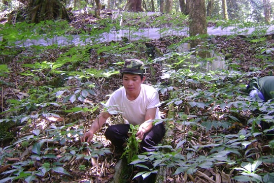 Phấn đấu giảm tỷ lệ hộ nghèo trong đồng bào dân tộc thiểu số hơn 3% năm 2022