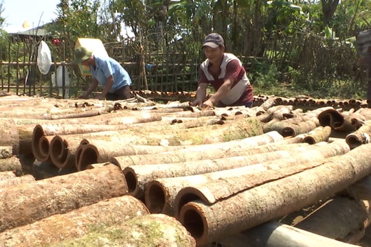 Đẩy nhanh tiến độ rà soát hộ nghèo, cận nghèo