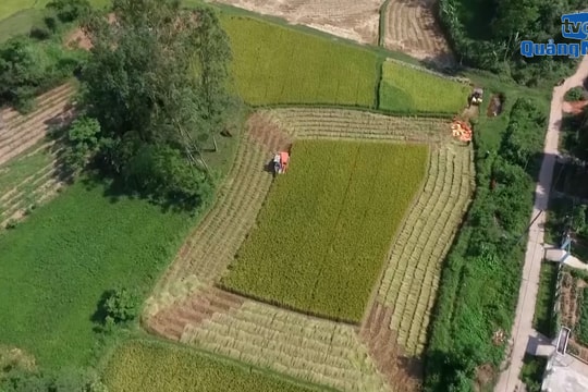 [VIDEO] - Phát triển kinh tế số trong nông nghiệp