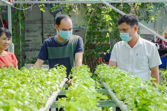 Thăng Bình có 8 xã thành lập tổ khuyến nông cộng đồng