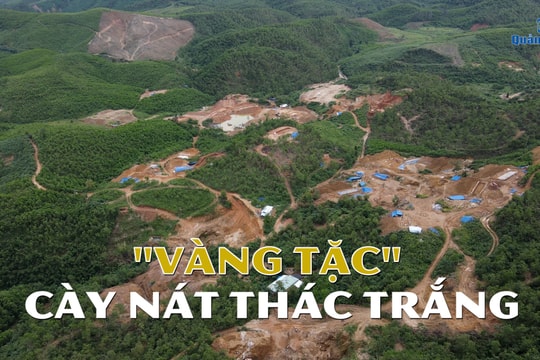 [VIDEO]  - Cận cảnh "vàng tặc" cày nát Thác Trắng