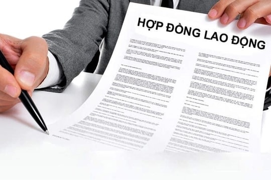 Quảng Nam yêu cầu chấm dứt hợp đồng lao động trong các đơn vị sự nghiệp công lập