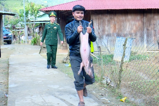 Hỗ trợ sinh kế mô hình “Nuôi heo đen bản địa” cho đồng bào biên giới