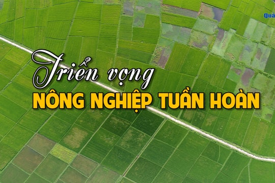 [VIDEO] -  Triển vọng nông nghiệp tuần hoàn