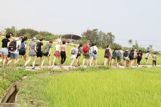 Ngày 19/12 diễn ra Hội chợ du lịch xanh Quảng Nam