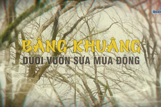 [VIDEO] – Bâng khuâng dưới vườn sưa mùa đông