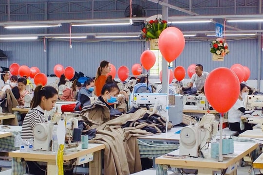 Nông Sơn thực hiện đạt và vượt 19/19 chỉ tiêu phát triển kinh tế - xã hội