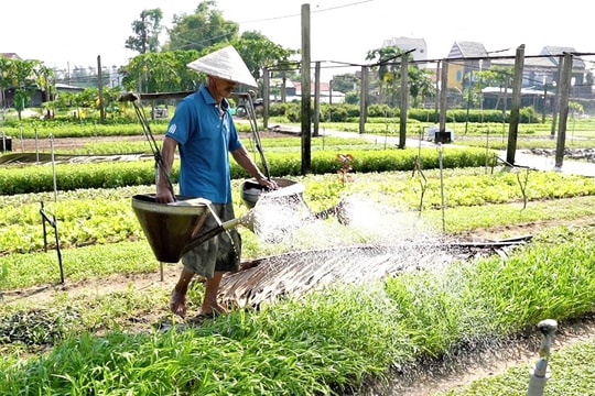 Hội An xây dựng tổ khuyến nông cộng đồng