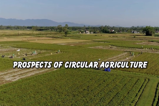Prospects of circular agriculture