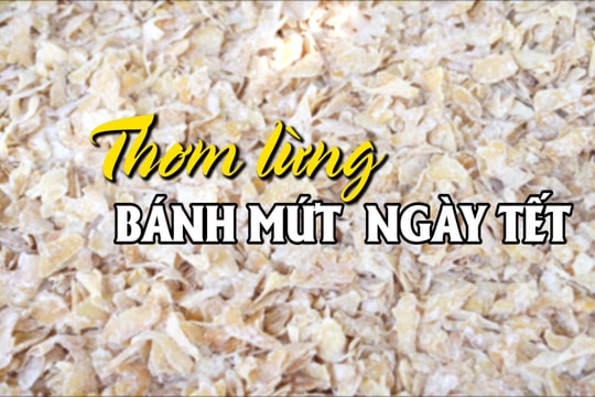 [VIDEO] - Thơm lừng bánh mứt ngày Tết