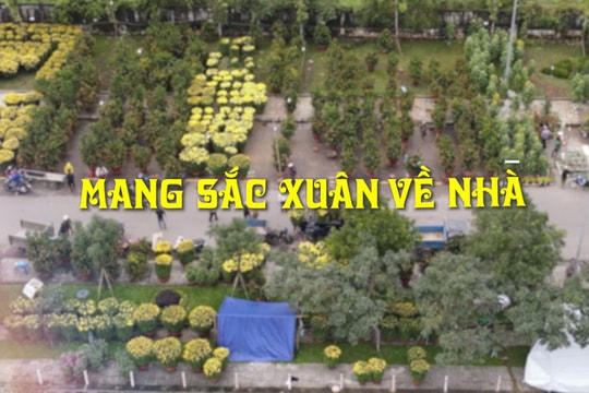 [VIDEO] - Mang sắc xuân về nhà