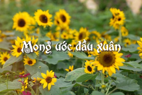 [VIDEO] -  Mong ước đầu xuân
