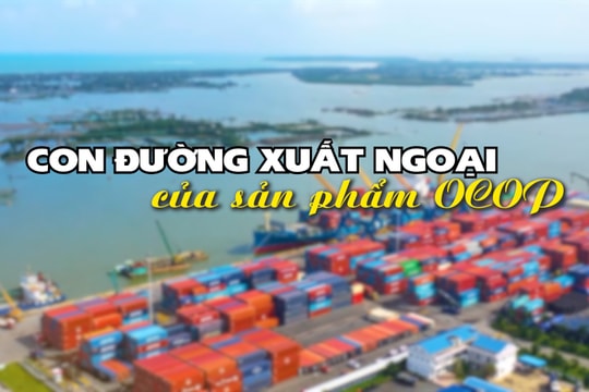 [VIDEO] -  Con đường xuất ngoại của sản phẩm OCOP
