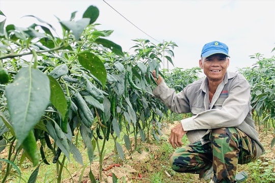 Làm gì để thay đổi tập quán canh tác?
