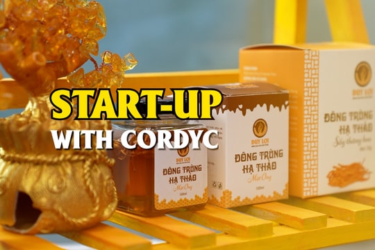 Start-up with cordyceps
