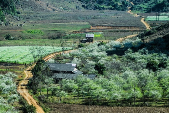 Bồng bềnh Mộc Châu