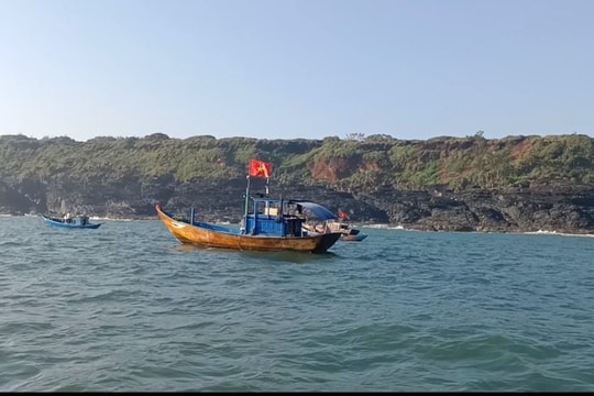 Ngư dân Tam Hải săn tôm hùm nhí ở biển Bàn Than