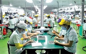 Thúc đẩy doanh nghiệp tham gia trực tiếp các mạng phân phối nước ngoài