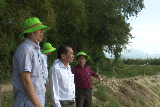 Phó Chủ tịch Hồ Quang Bửu đi khảo sát tình hình sạt lở bờ sông Quảng Huế, đoạn qua xã Đại An