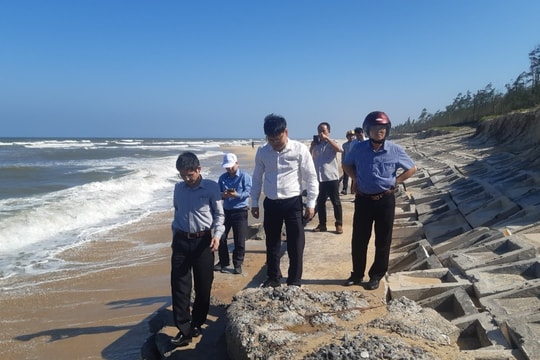 Tam Kỳ lấy ý kiến về thiết kế sửa chữa khẩn cấp kè chống sạt lở bờ biển Tam Thanh
